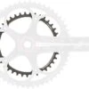 Campagnolo® Campagnolo Superrecord 11sp Kettingblad-34T -Cyclo Verkoop 39tsr 1